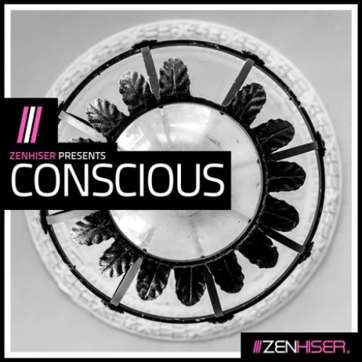 Zenhiser Conscious