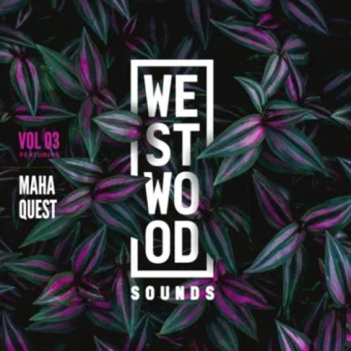 Westwood Sounds Vol 3