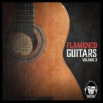 Flamenco Guitars Vol 2