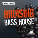 Bruising Bass House