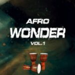 Afro Wonder Sample Pack