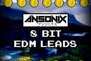 Ansonix 8 Bit EDM Leads