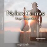 Nylon Guitar Singer Songwriter 2