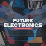 Famous Audio Future Electronics