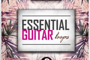 Essential Guitar Loops Vol 1